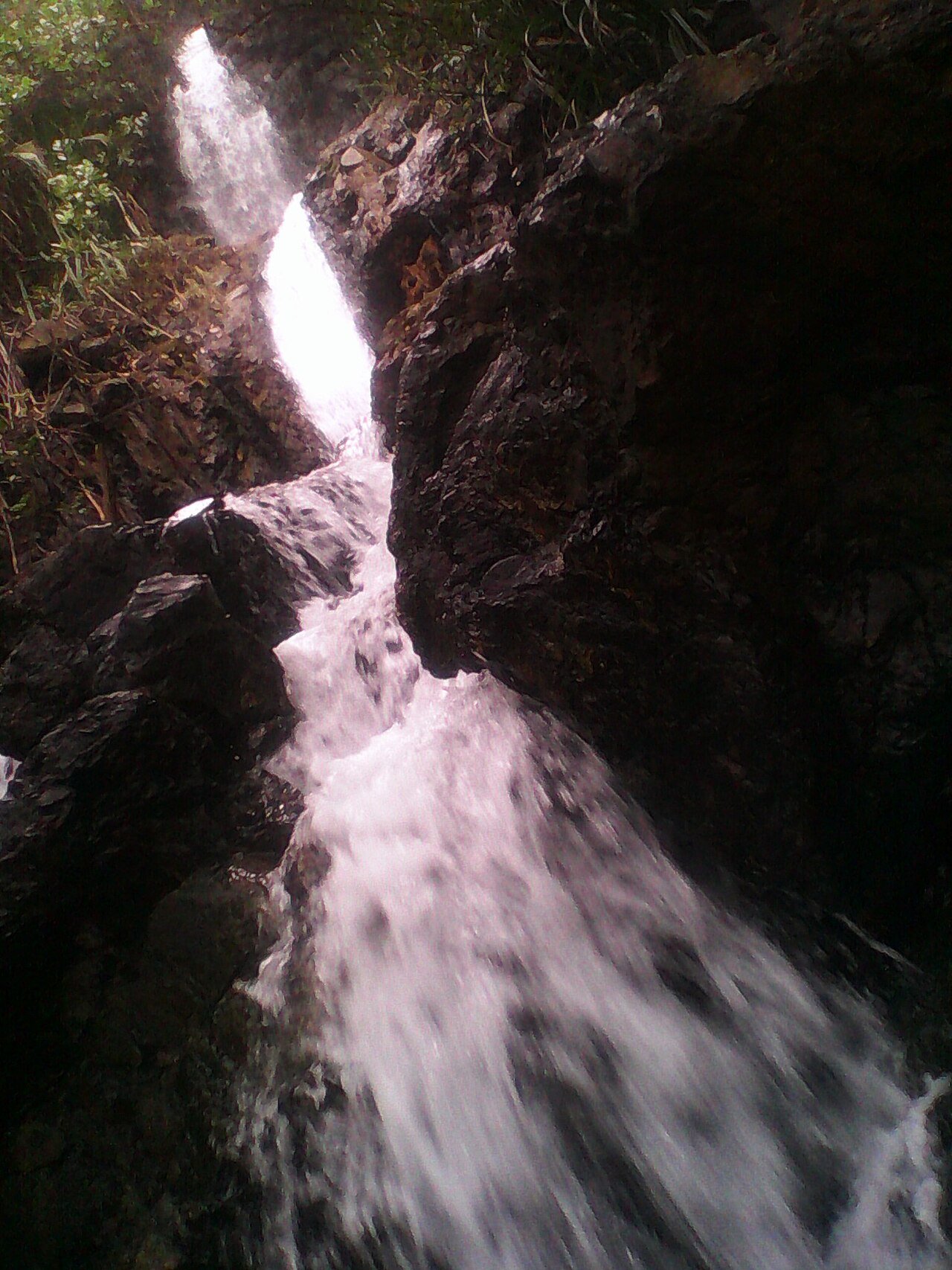 Zabali in Baler, Aurora, near several of the best things to do in Baler