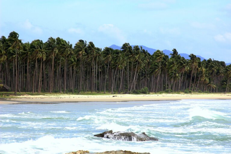 Top Things to Do in San Vicente (Palawan): Long Beach and Beyond