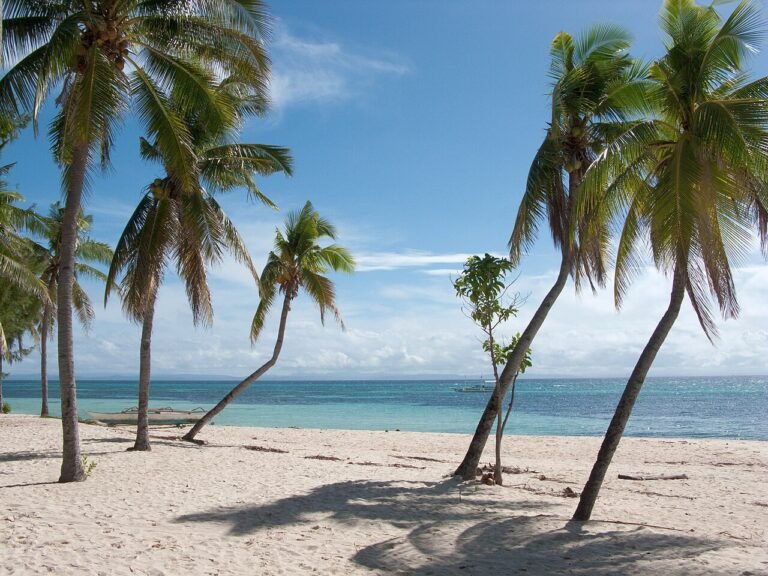 Top Things to Do in Malapascua
