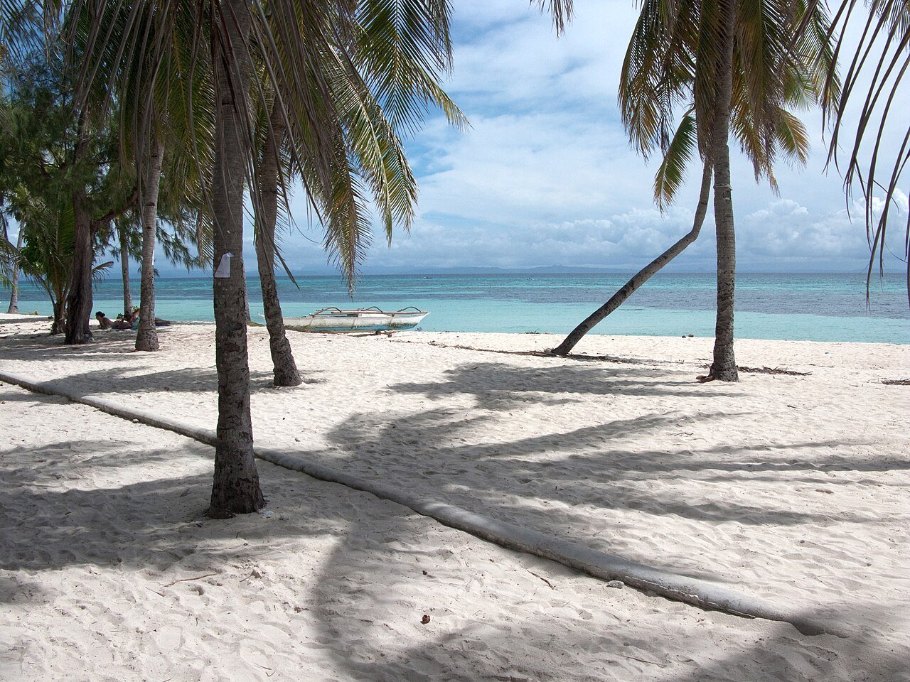 Palm trees lining Bounty Beach on Malapascua Island