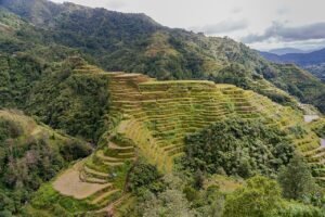 How to Get from Manila to Banaue: All Options Compared