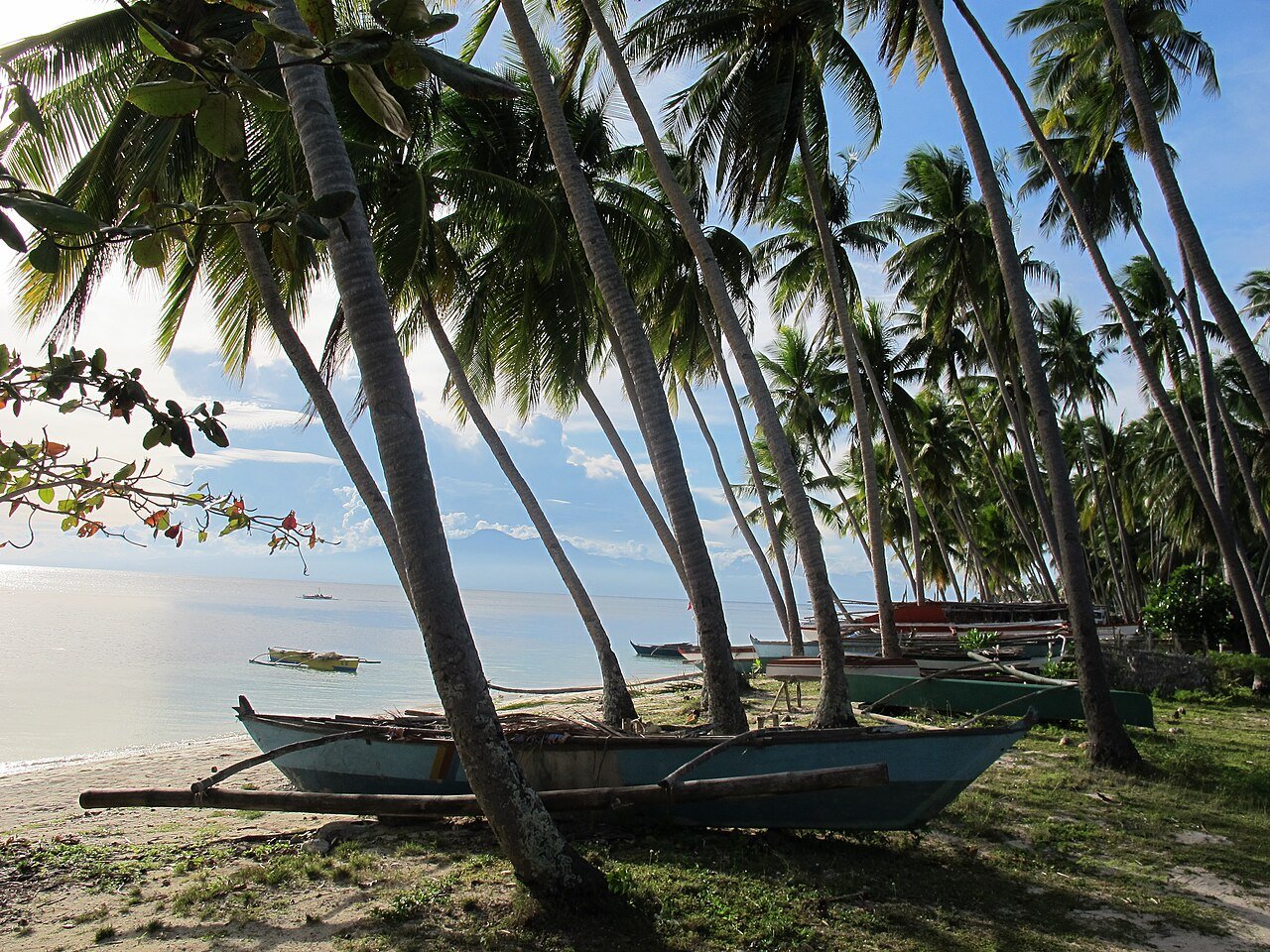 White sand and palm trees at Paliton Beach, San Juan, Siquijor