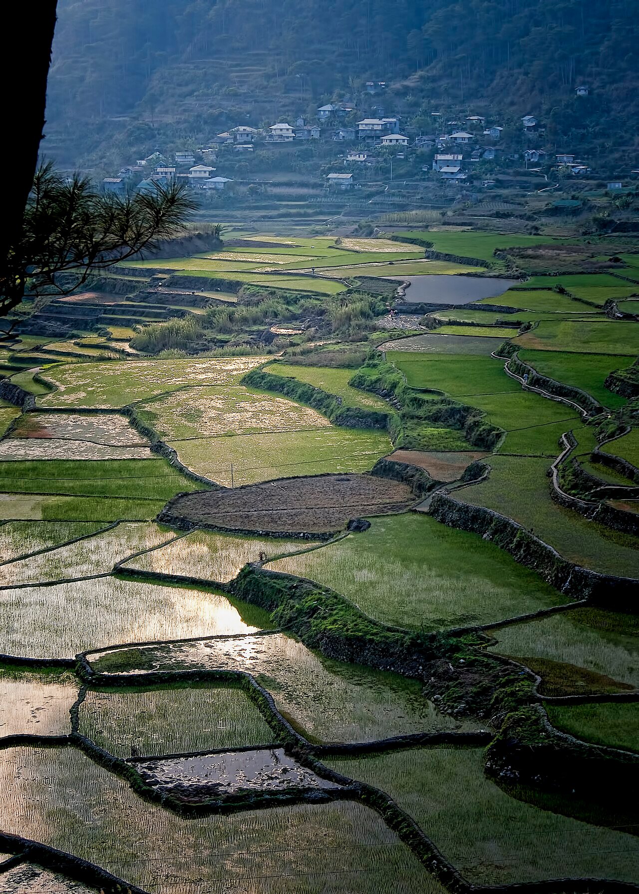 Rice terraces near Sagada in Mountain Province, Philippines