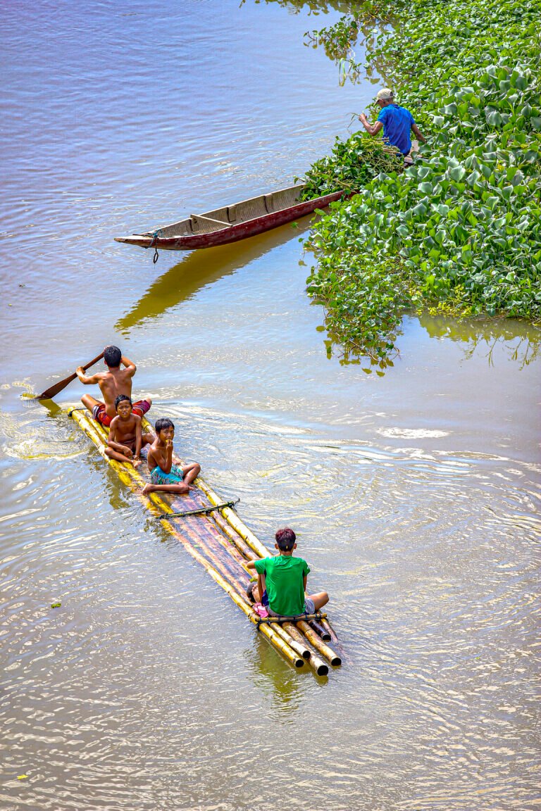 Top Things to Do in Agusan del Sur: The Marsh and the Falls