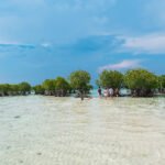 Buntod Reef Marine Sanctuary and Sandbar near Masbate City, Philippines