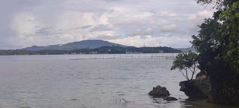 Dinagat poblacion viewed from La Isla Calavera
