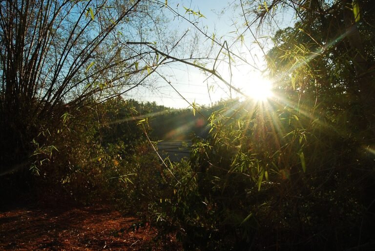 Sunrise over Masbate, which shows why the dry season is the best time to visit Masbate