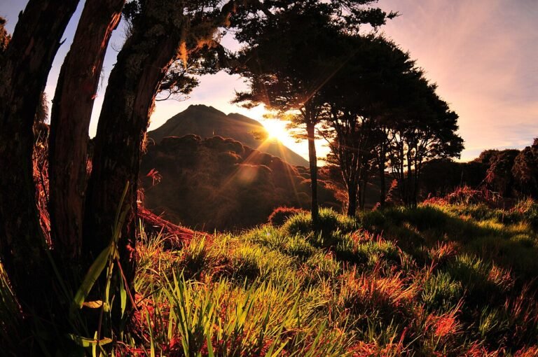 Mount Apo Natural Park, North Cotabato, Philippines