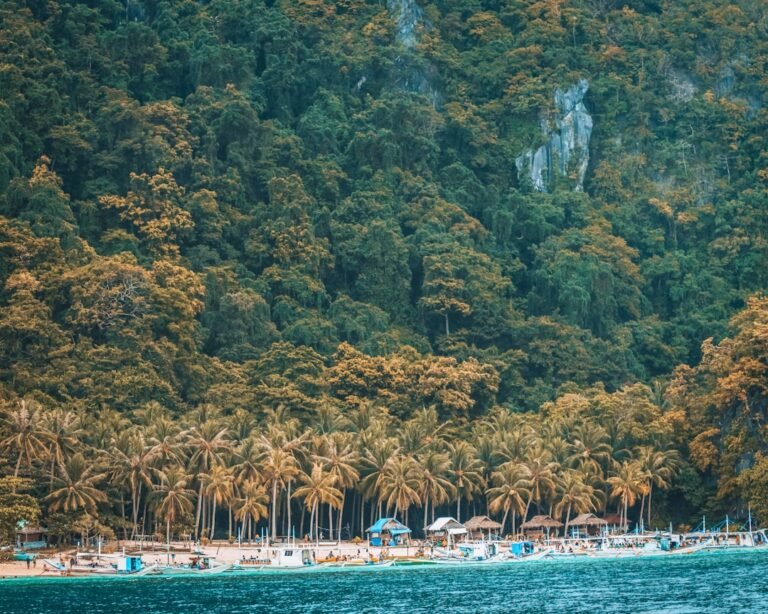 Palawan travel guide, limestone cliffs and turquoise lagoon water
