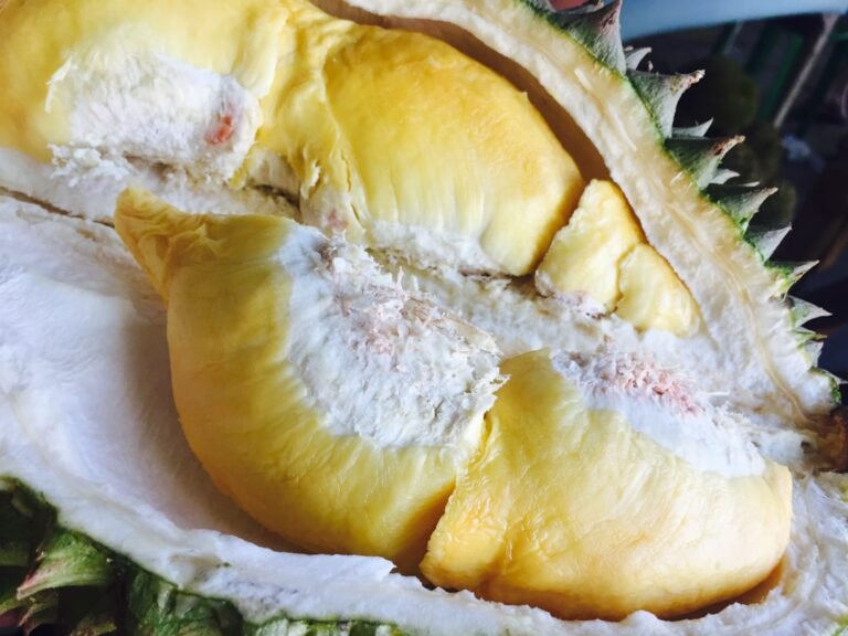 Durian fruit for sale in Davao, the durian capital of the Philippines
