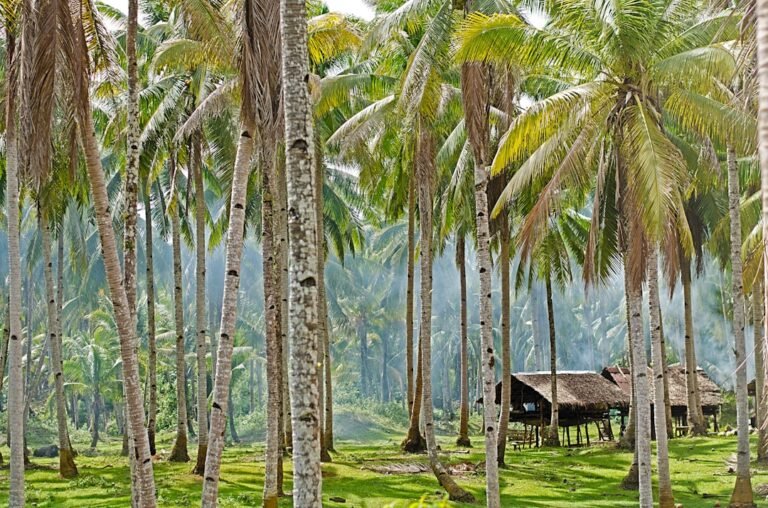 Best Things to Do in Siargao: Cloud 9, Sugba Lagoon and Island Hopping