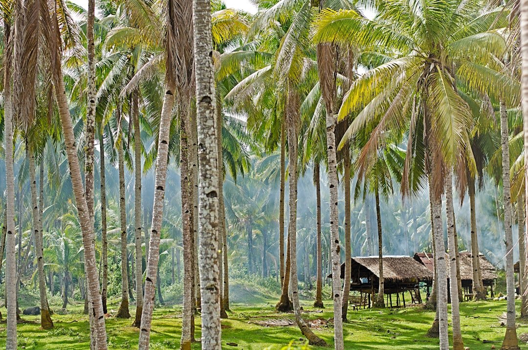 Siargao Island coastline, top things to do in Siargao
