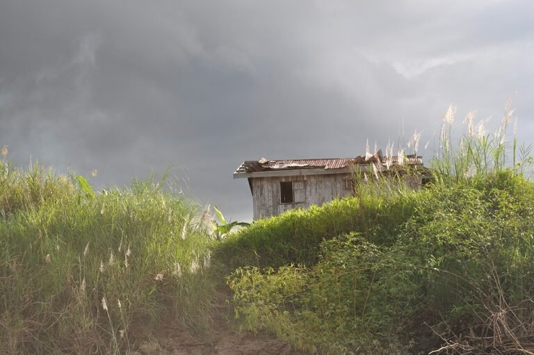 Sugar cane fields in Agusan del Sur, typical countryside on the Davao road